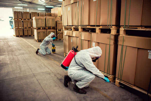 Best Best Pest Control Companies  in Spring Ridge, MD