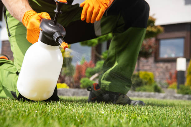 Best Rat Extermination Near Me  in Spring Ridge, MD