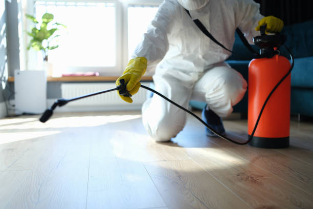 Best Wasp Removal Services  in Spring Ridge, MD