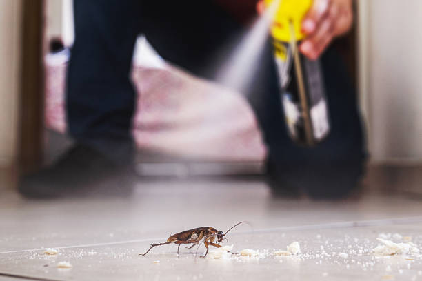 Best Emergency Pest Control  in Spring Ridge, MD