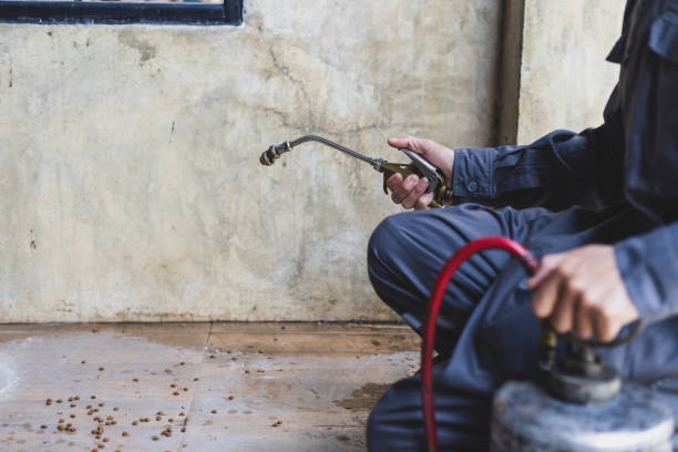 Best Exterminator Services  in Spring Ridge, MD
